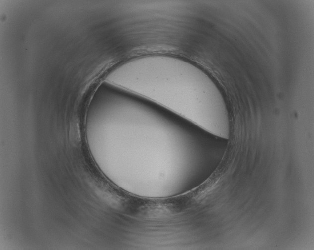 X0000072550254200607141019