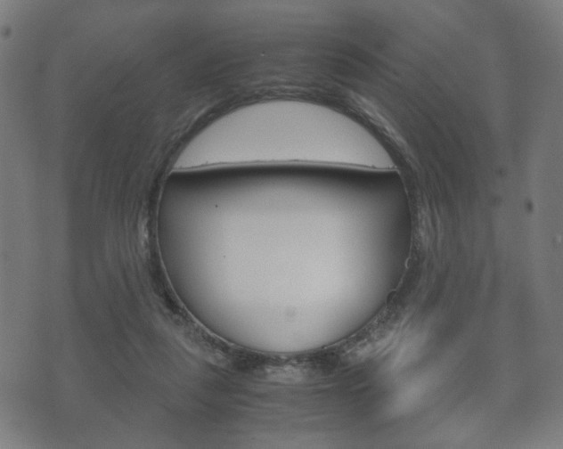 X0000072550259200607141019