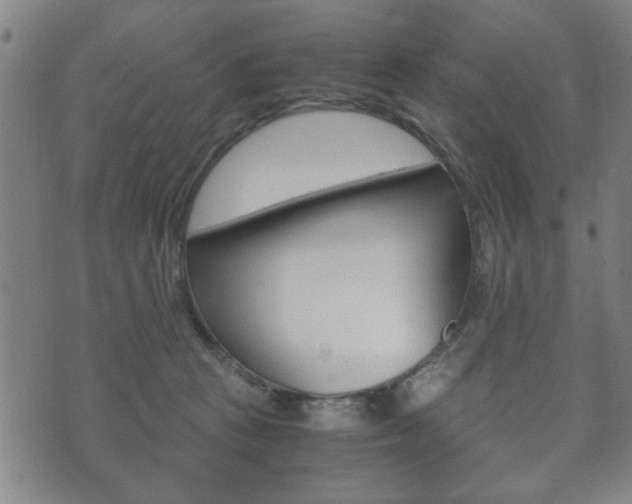 X0000072550273200607141019