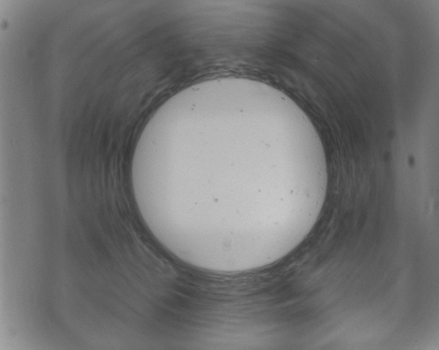 X0000072550276200607141019
