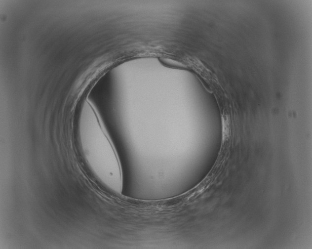 X0000072550291200607141018