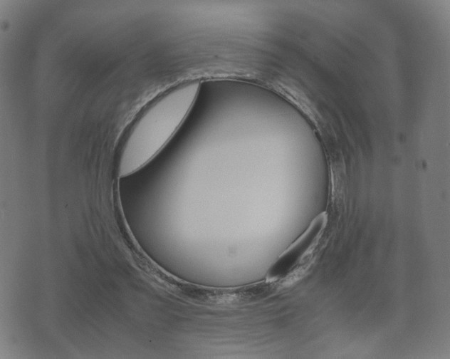 X0000072550301200607141018