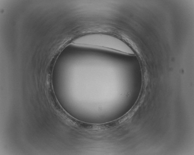 X0000072550305200607141018