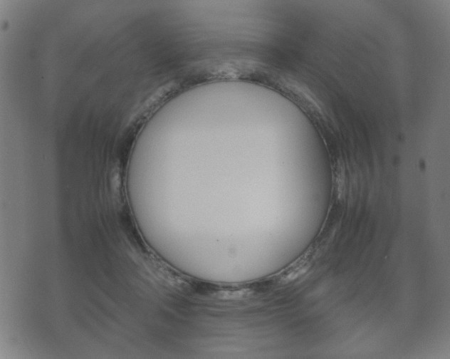 X0000072550314200607141018