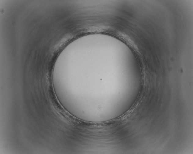 X0000072550354200607141017