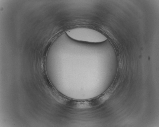 X0000072550363200607141017