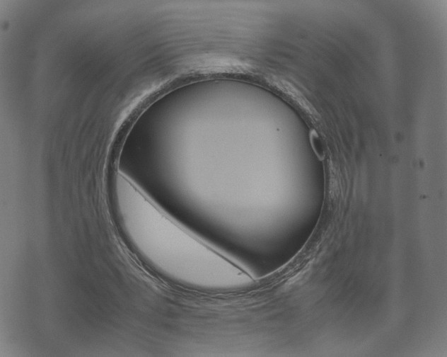 X0000072550391200607141017