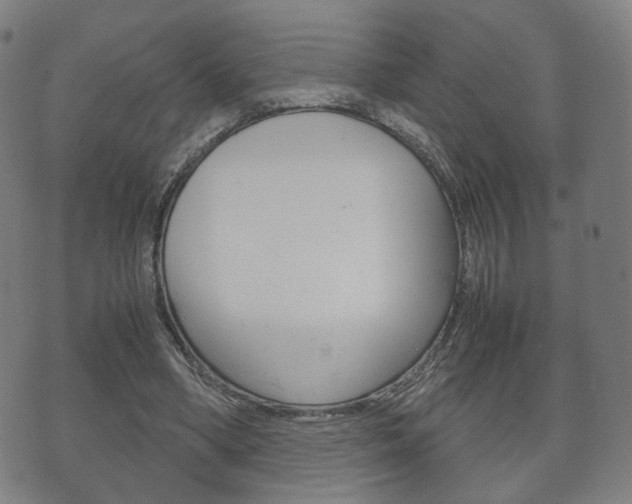 X0000072550394200607141017