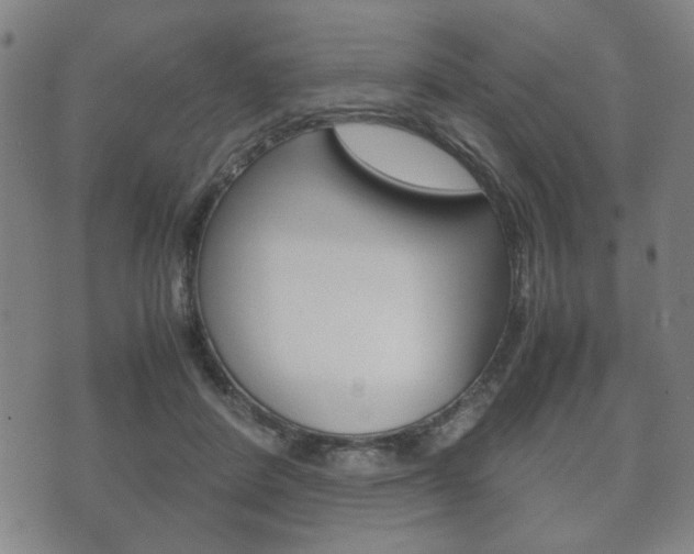 X0000072550408200607141016
