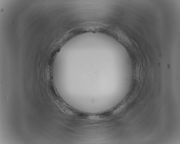 X0000072550413200607141016
