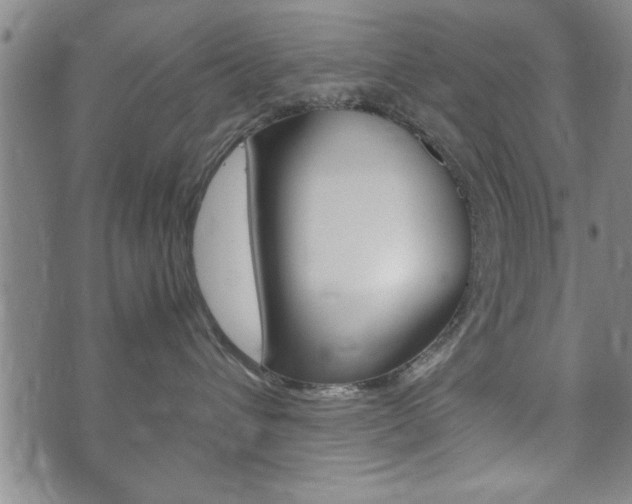 X0000072550432200607141016