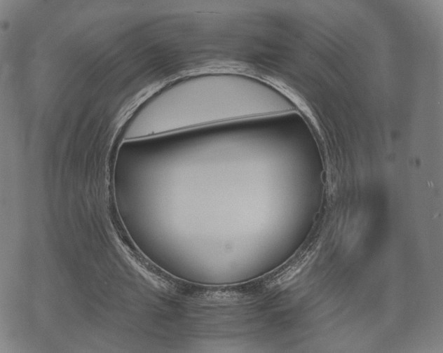 X0000072550437200607141015