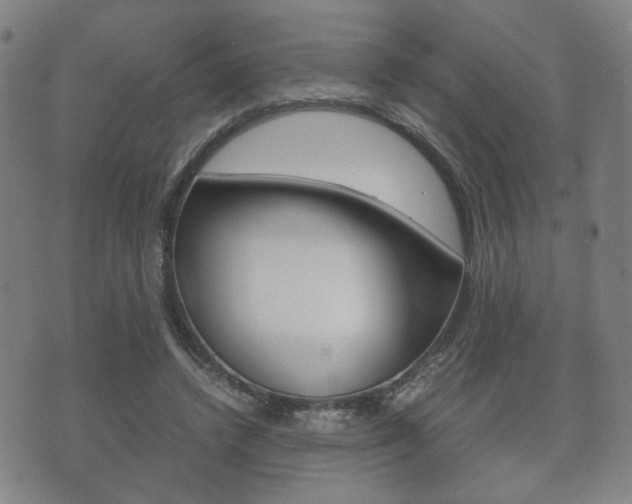 X0000072550448200607141015