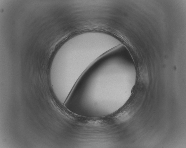 X0000072550450200607141016