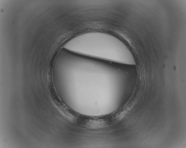 X0000072550455200607141016
