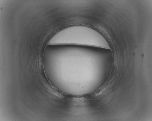 X0000072550457200607141016