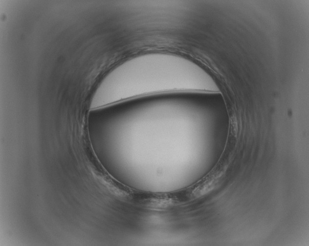 X0000072550458200607141016