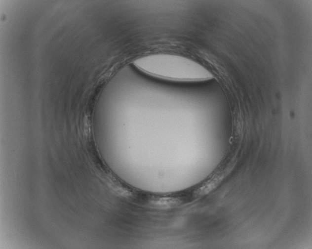 X0000072550467200607141016
