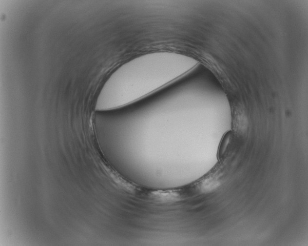 X0000072550477200607141016