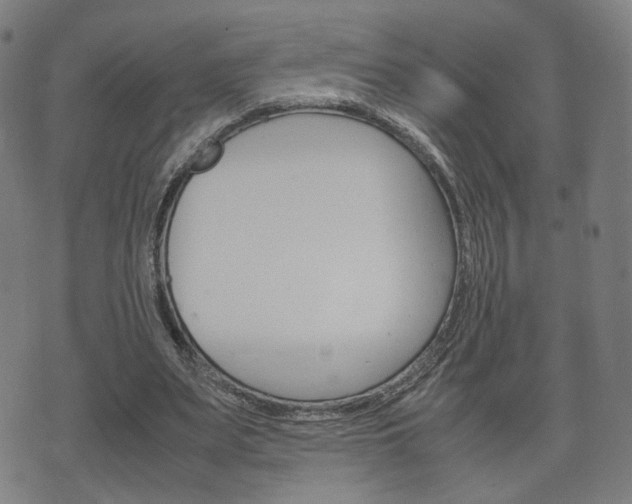 X0000072550487200607141015