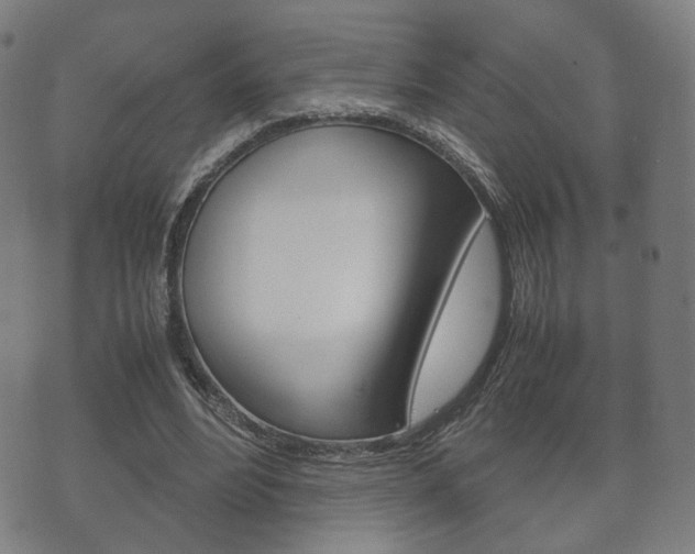 X0000072550488200607141015