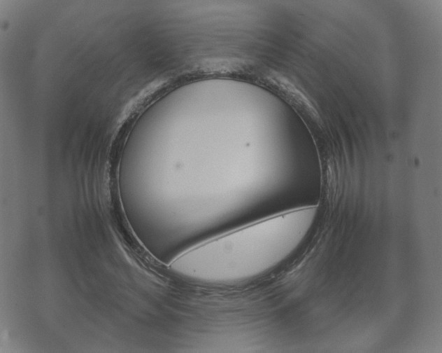 X0000072550492200607141015