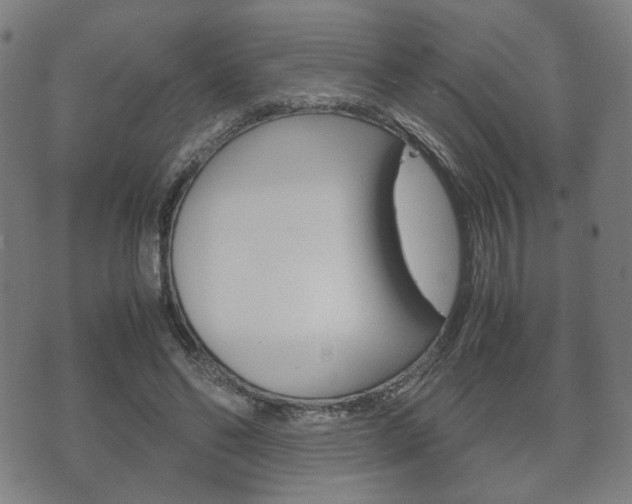 X0000072550494200607141015