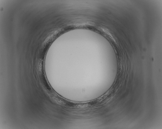 X0000072550495200607141015