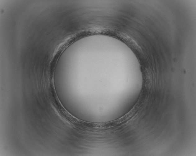 X0000072550496200607141015