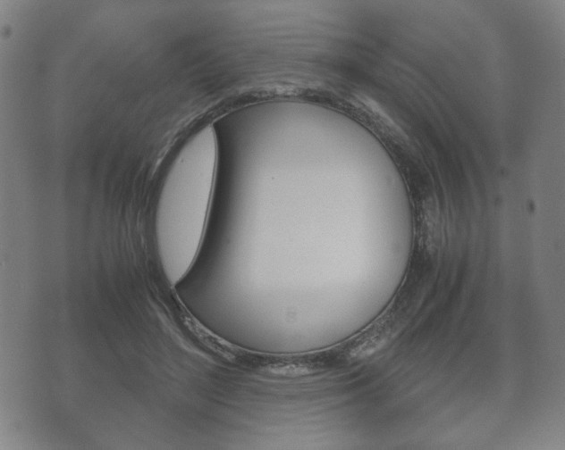 X0000072550500200607141015