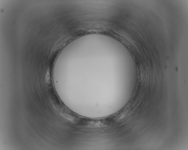 X0000072550502200607141015