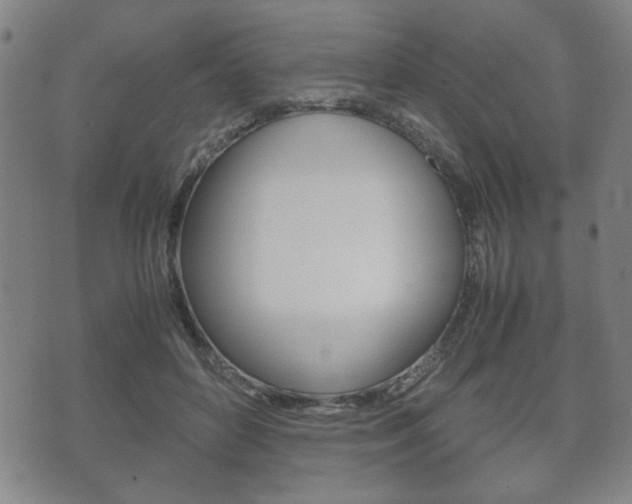 X0000072550504200607141015