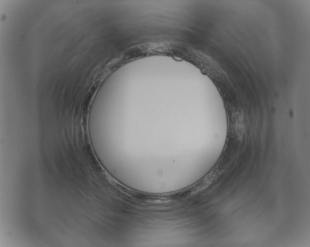 X0000072550506200607141015