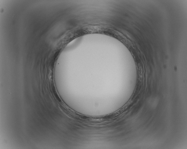 X0000072550507200607141015