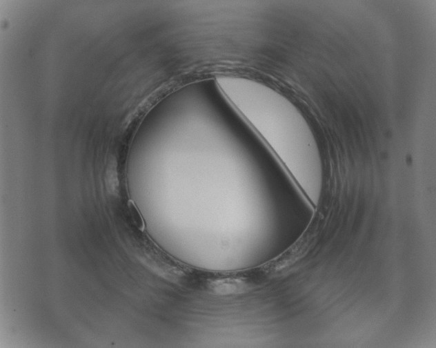 X0000072550508200607141015