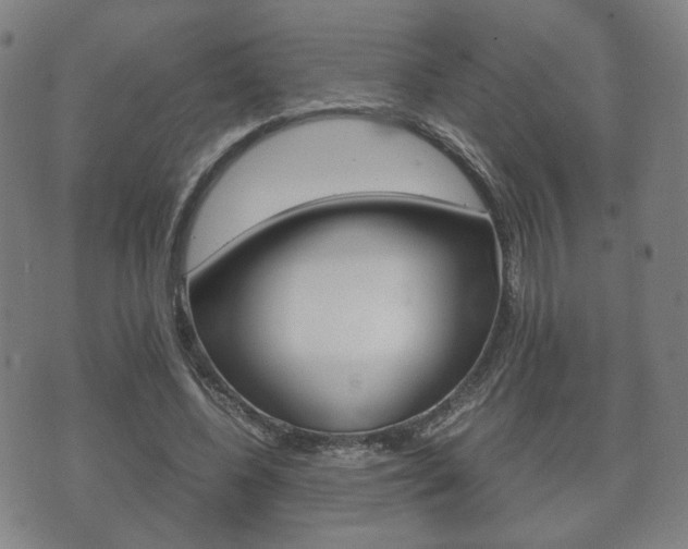 X0000072550540200607141014