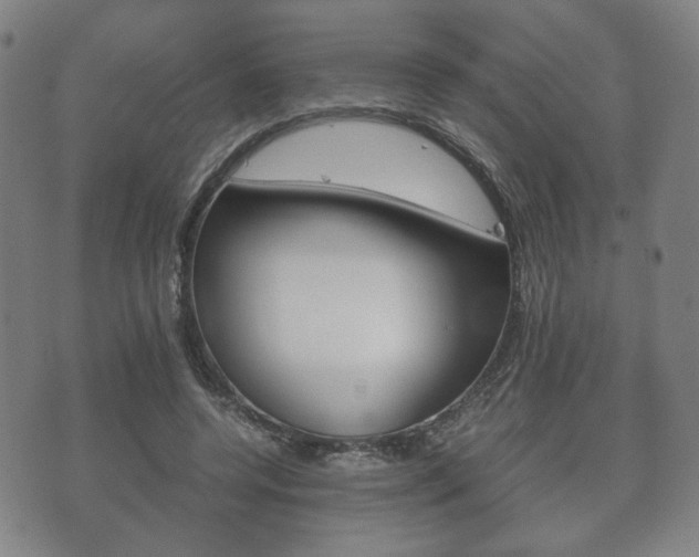 X0000072550544200607141014