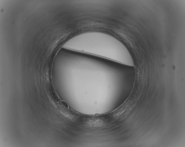 X0000072550547200607141014