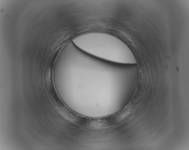 X0000072550550200607141014
