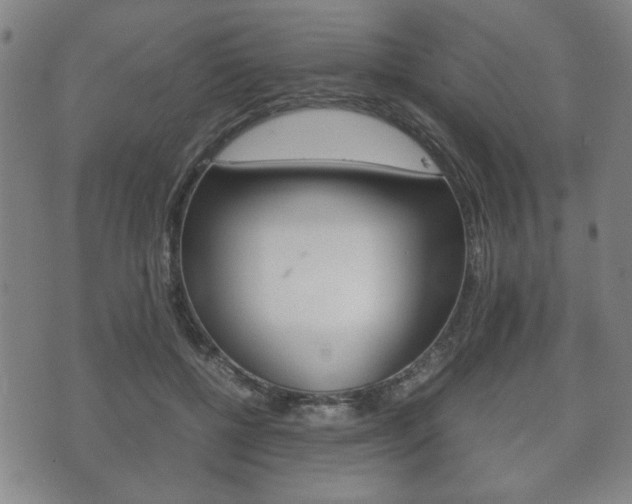 X0000072550552200607141014