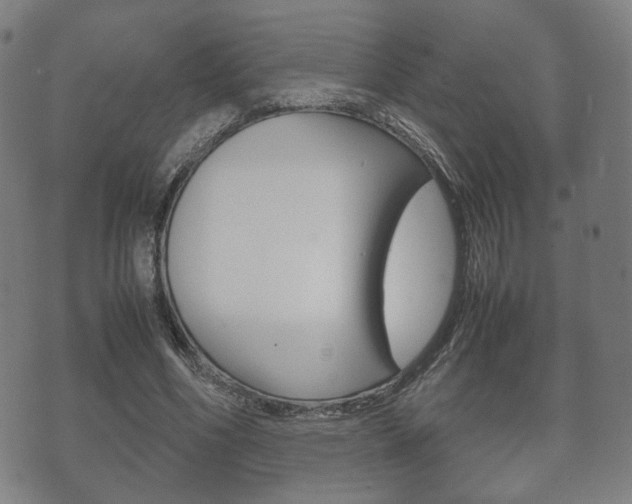 X0000072550586200607141013