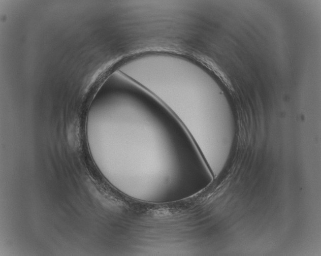 X0000072550588200607141013