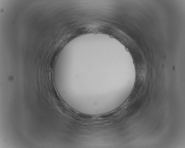 X0000072550603200607141013