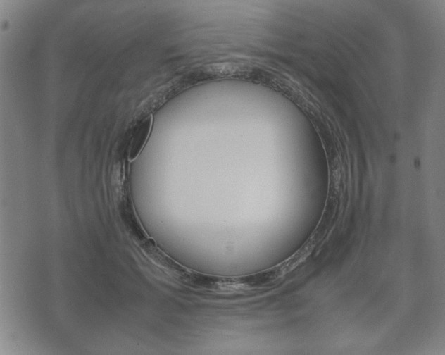 X0000072550605200607141013