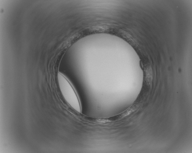 X0000072550617200607141013