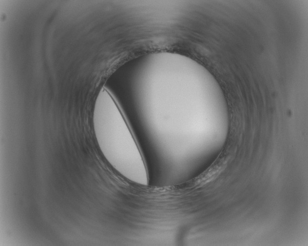 X0000072550624200607141013
