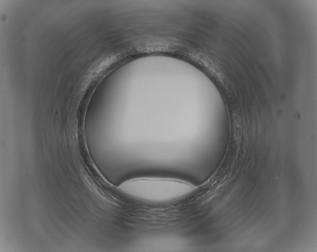 X0000072550631200607141012