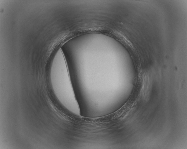 X0000072550635200607141012