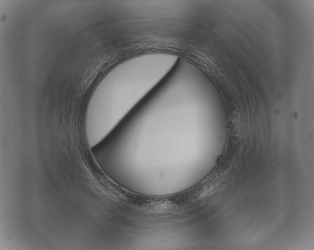 X0000072550642200607141012