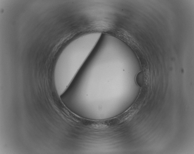 X0000072550644200607141012
